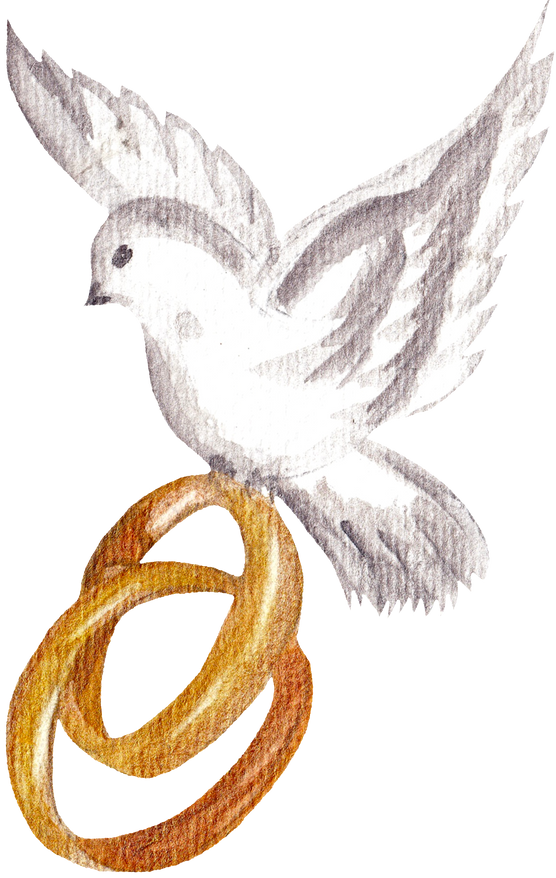 Watercolor Dove with Wedding Rings
